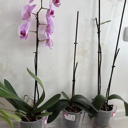 아파트 Vip Luxury *